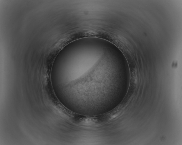 X0000090740223200708031552