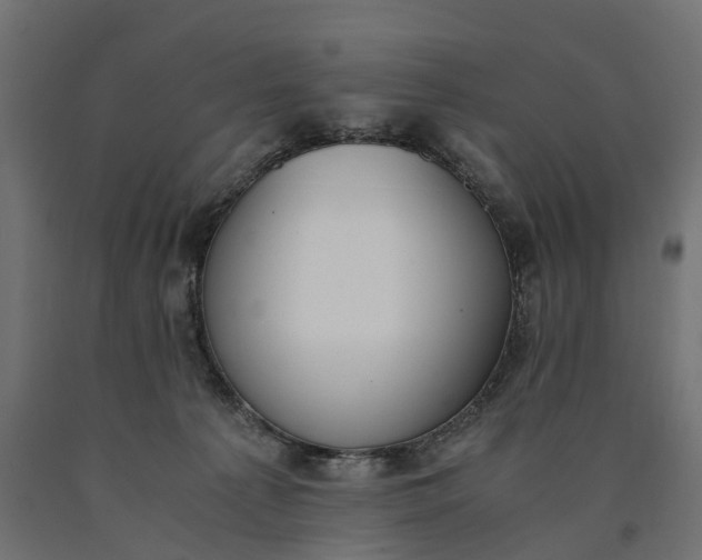 X0000090740225200708031552