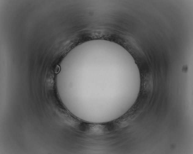 X0000090740226200708031552