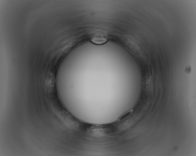 X0000090740228200708031552