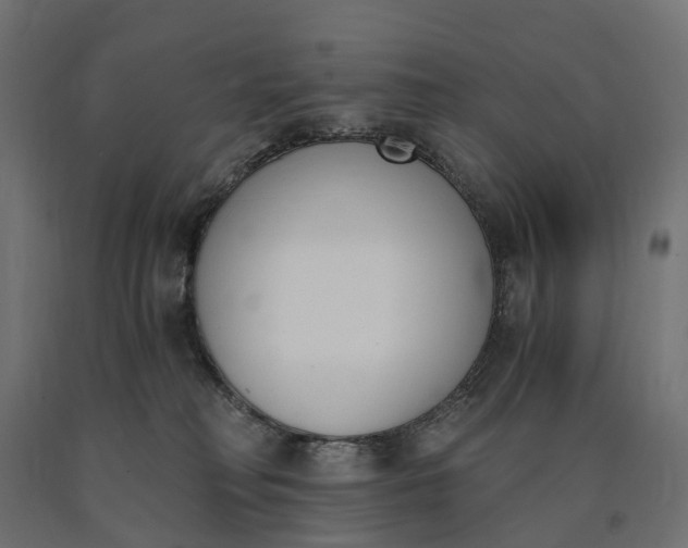 X0000090740230200708031552