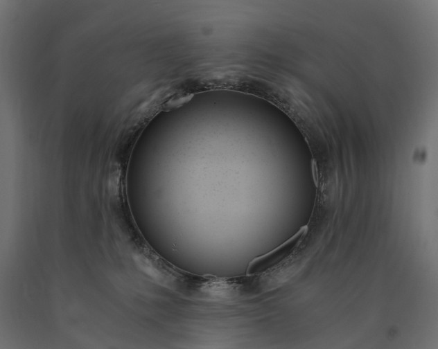 X0000090740231200708031552