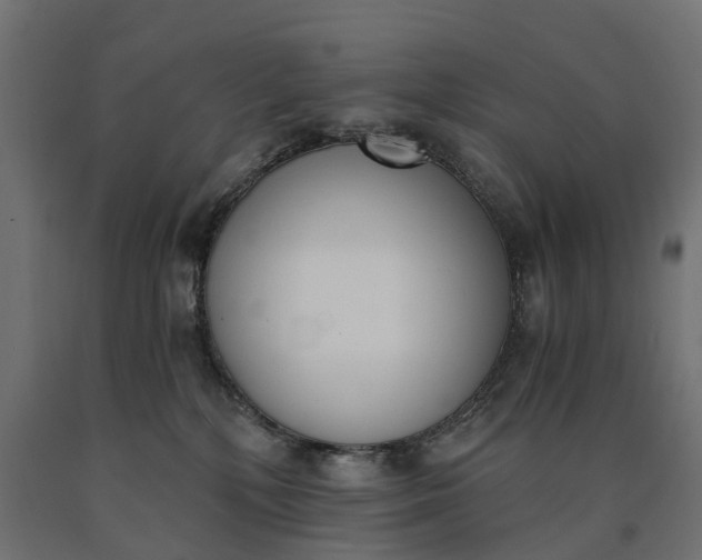 X0000090740232200708031552