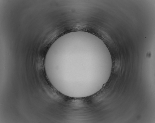 X0000090740236200708031552