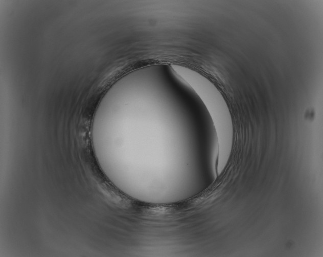 X0000090740237200708031552