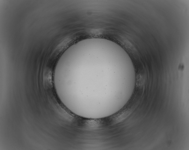 X0000090740238200708031552