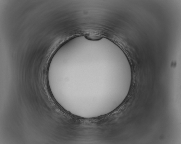 X0000090740241200708031552