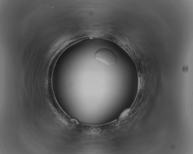 X0000090740243200708031552