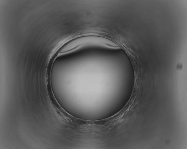 X0000090740244200708031552