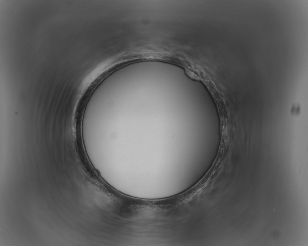 X0000090740246200708031552