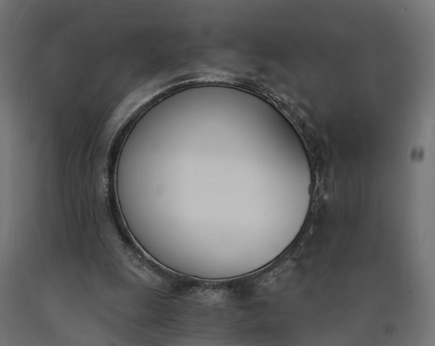 X0000090740247200708031552