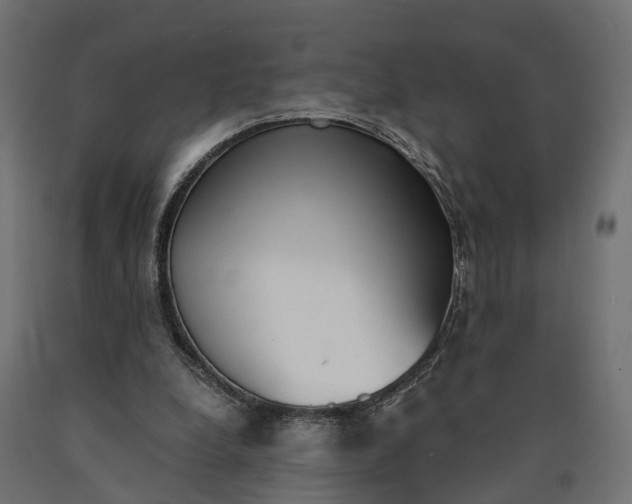 X0000090740248200708031552