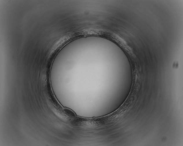 X0000090740250200708031552