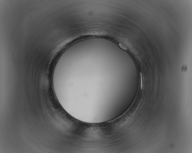 X0000090740252200708031552