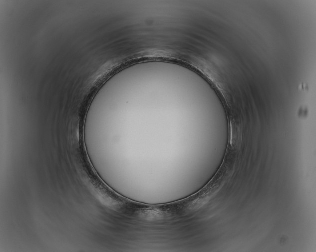 X0000090740253200708031552