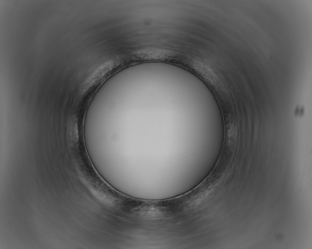 X0000090740254200708031552