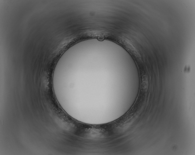 X0000090740255200708031552