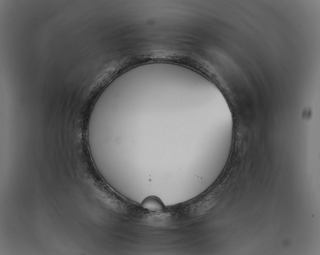 X0000090740257200708031552