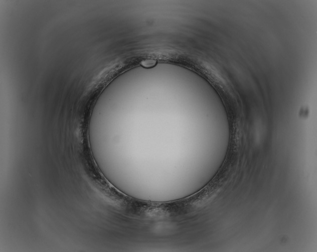 X0000090740258200708031552