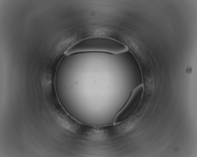 X0000090740260200708031552