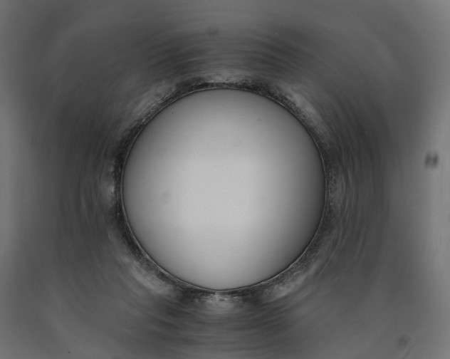 X0000090740261200708031552