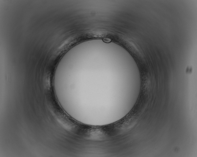 X0000090740262200708031552