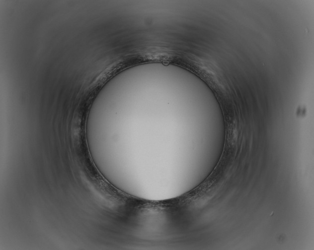 X0000090740263200708031552