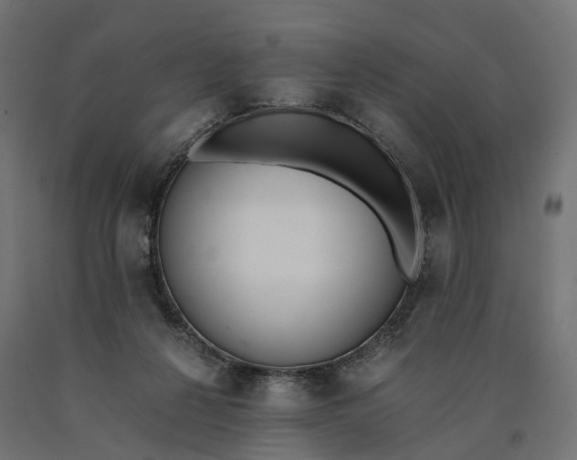 X0000090740264200708031552