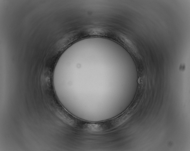 X0000090740265200708031552