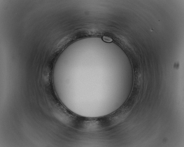 X0000090740266200708031552