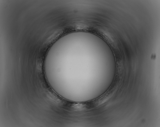 X0000090740269200708031552