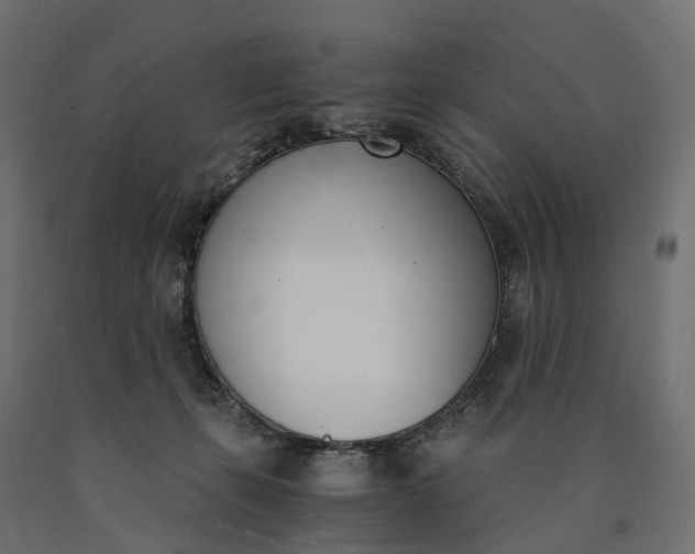 X0000090740271200708031552