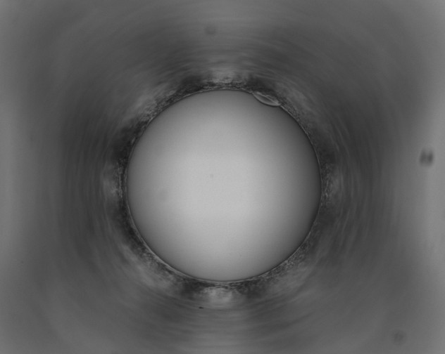 X0000090740272200708031552