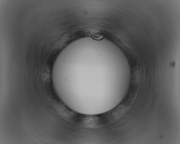 X0000090740274200708031552