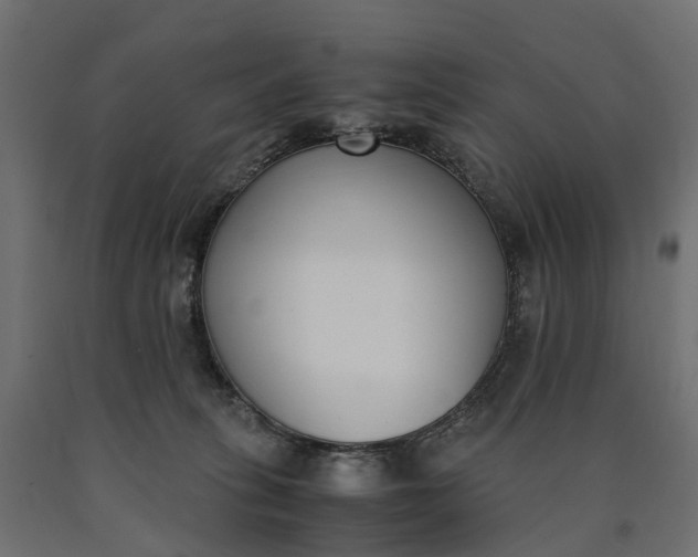 X0000090740275200708031552