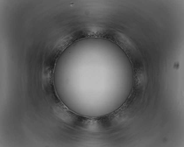 X0000090740276200708031552