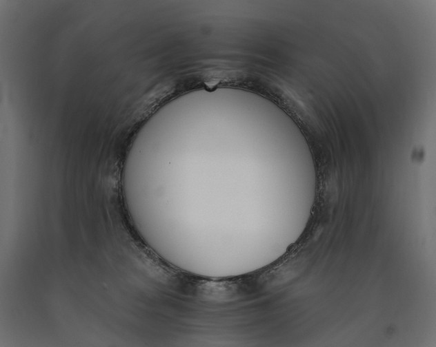 X0000090740277200708031552