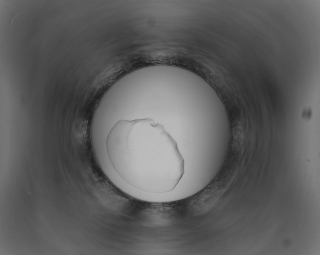 X0000090740278200708031552