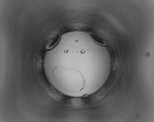 X0000090740279200708031552