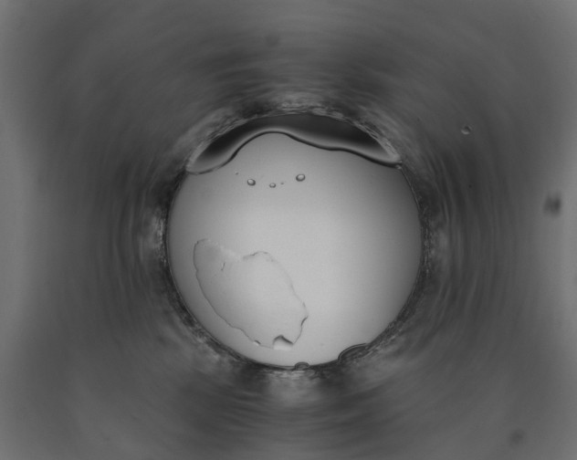 X0000090740281200708031552