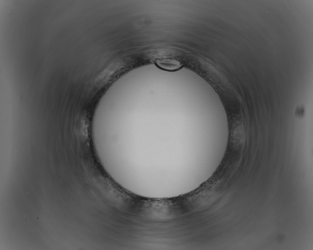 X0000090740282200708031552