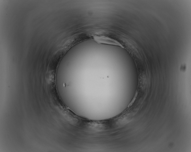 X0000090740284200708031552