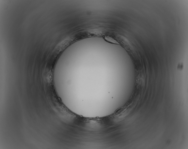 X0000090740285200708031552