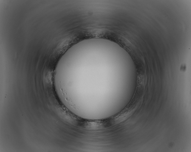 X0000090740286200708031552