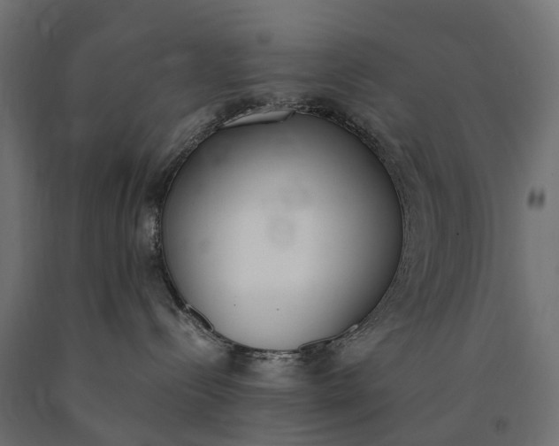 X0000090740288200708031552