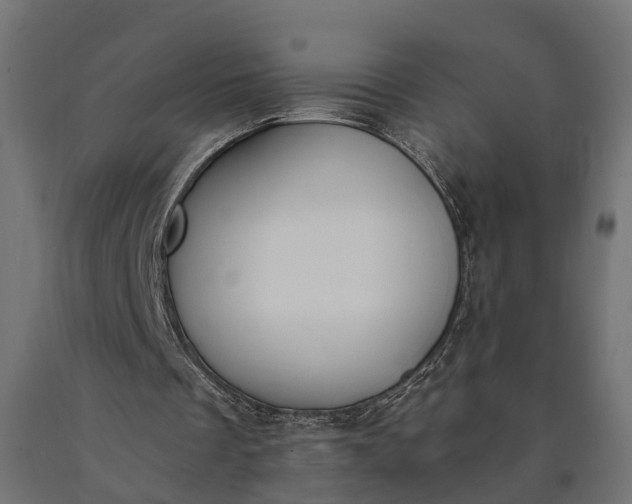 X0000090740289200708031552