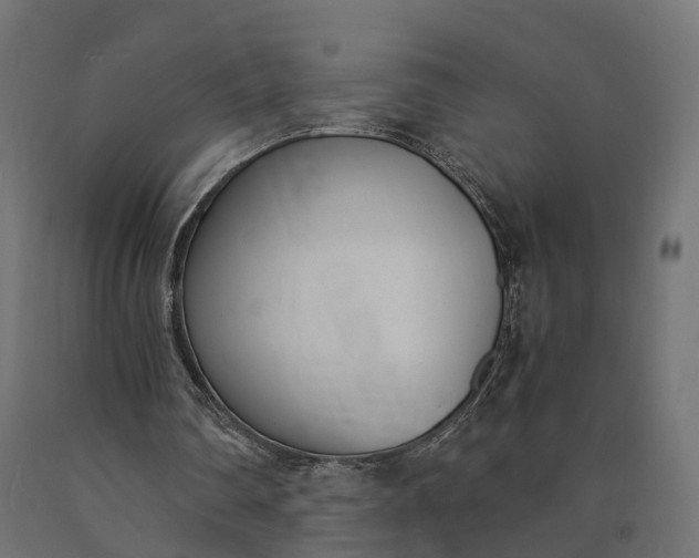 X0000090740290200708031552