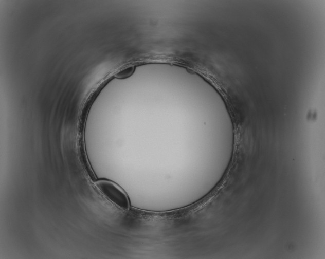 X0000090740293200708031552