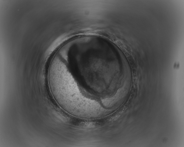 X0000090740295200708031551