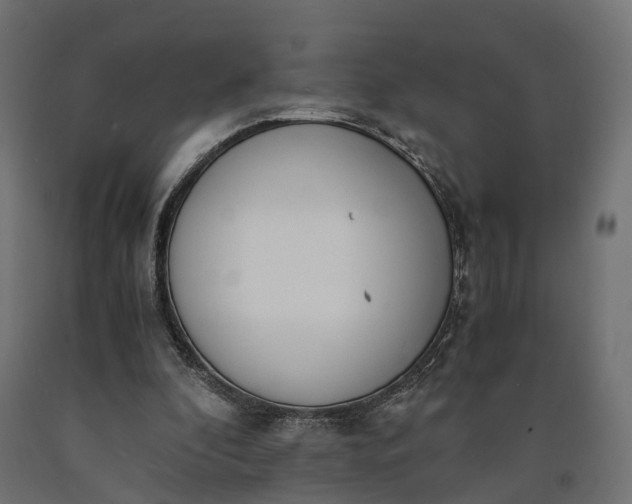 X0000090740296200708031551